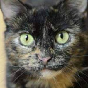 Meet your Posher, Joanna